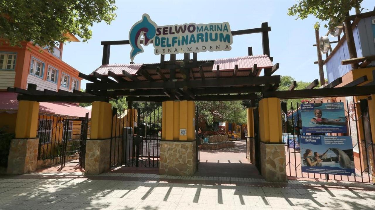 בנאלמדנה "Vive Benal Beach" Estudio Gran Terraza Y Parque Acuatico 1319 מראה חיצוני תמונה